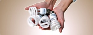 recycle light bulbs