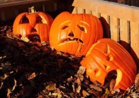 Keeping Pumpkins Out Of The Landfill