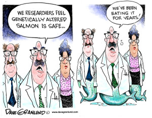 genetic modified salmon cartoon
