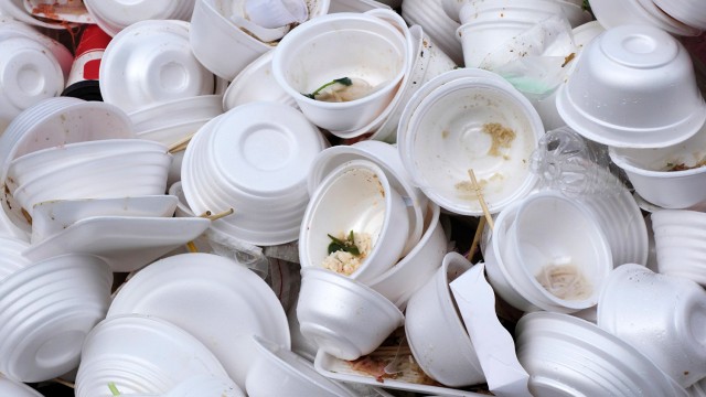 Why Styrofoam Is So Bad for the Environment - The Zero Waste Family™