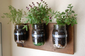 DIY Mason Jar Herb Garden