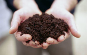 How to Overcome Common Compost Problems