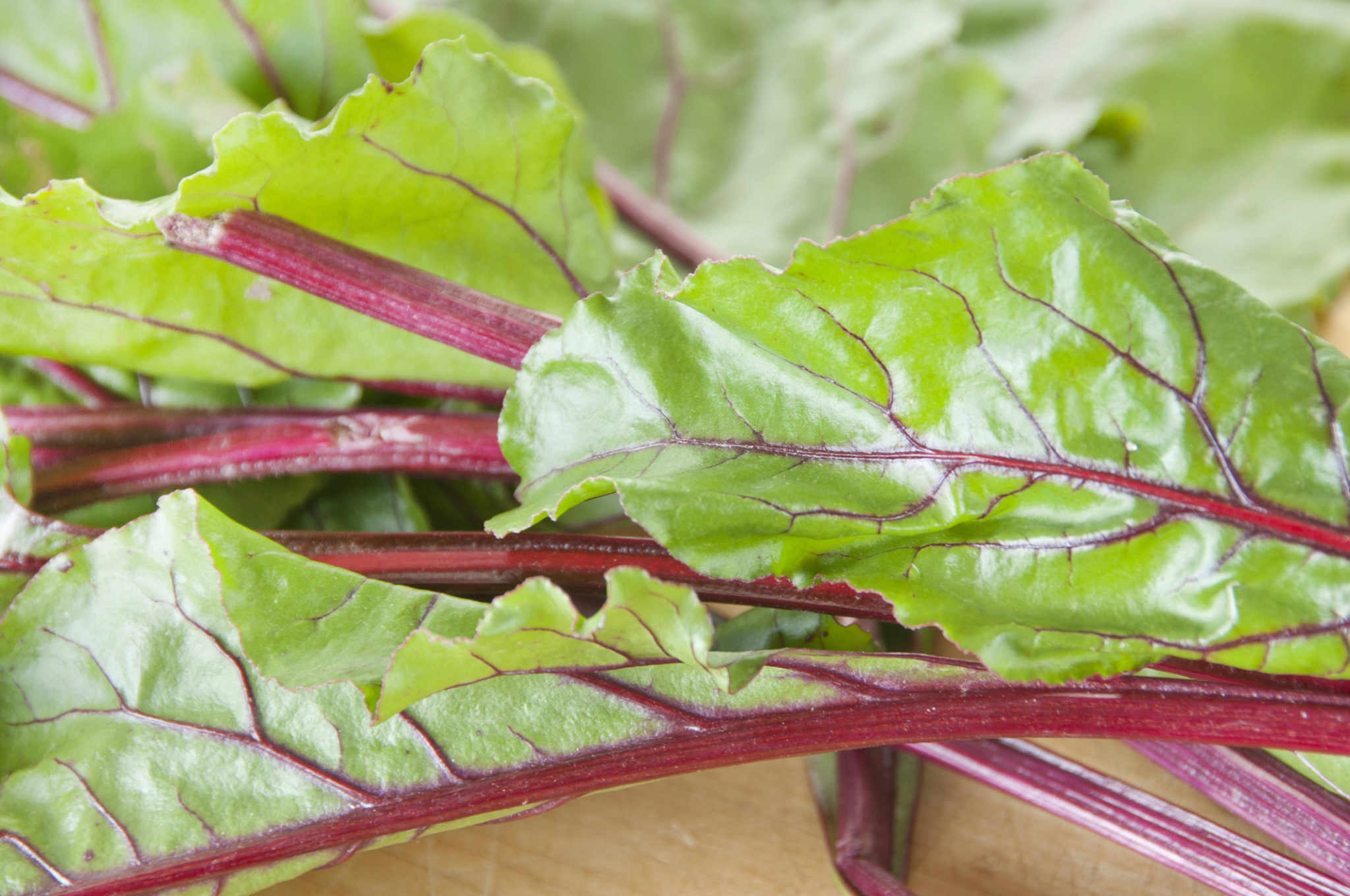 Cooking with Leftovers and Food Scraps The Zero Waste Family®