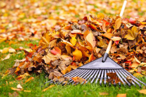 7 Eco-Friendly Tips for Using Fall Leaves