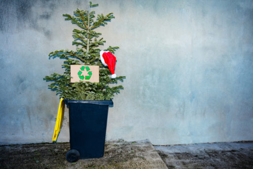 8 Sustainable Ways to Dispose of Your Christmas Tree