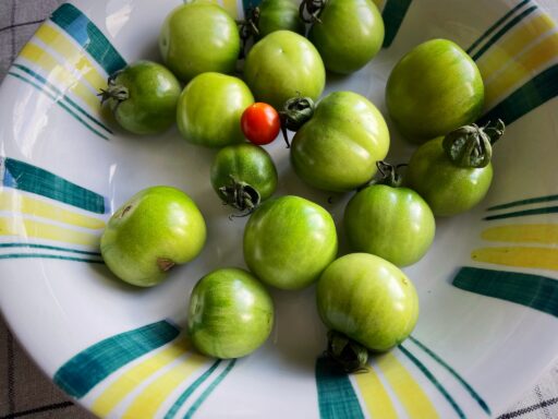 Eingelegte grüne Tomaten und grüne Tomatenmarmelade