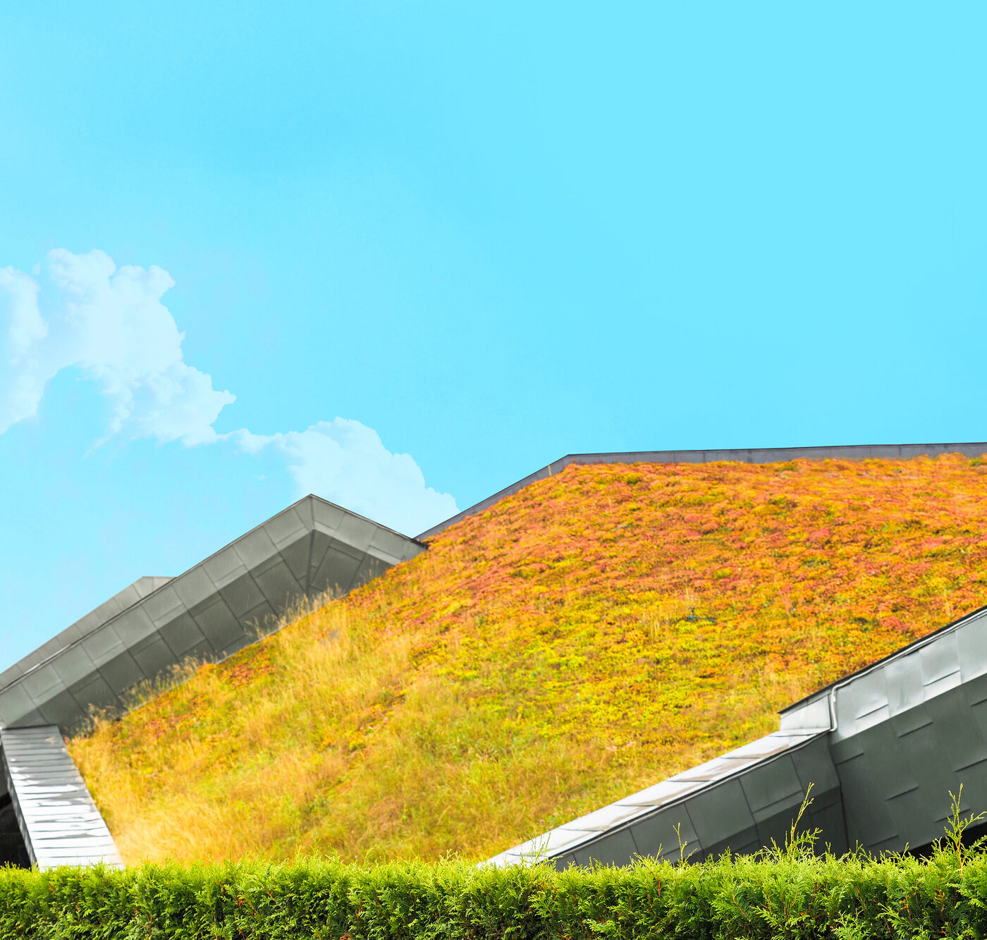 6 Eco-Friendly Roofing Tips For Homeowners