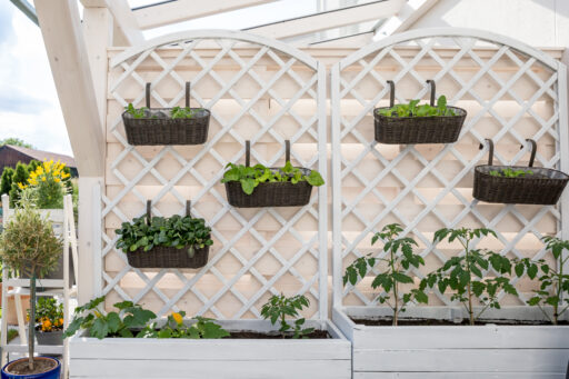 Vertical Gardens: Grow More in a Small Space