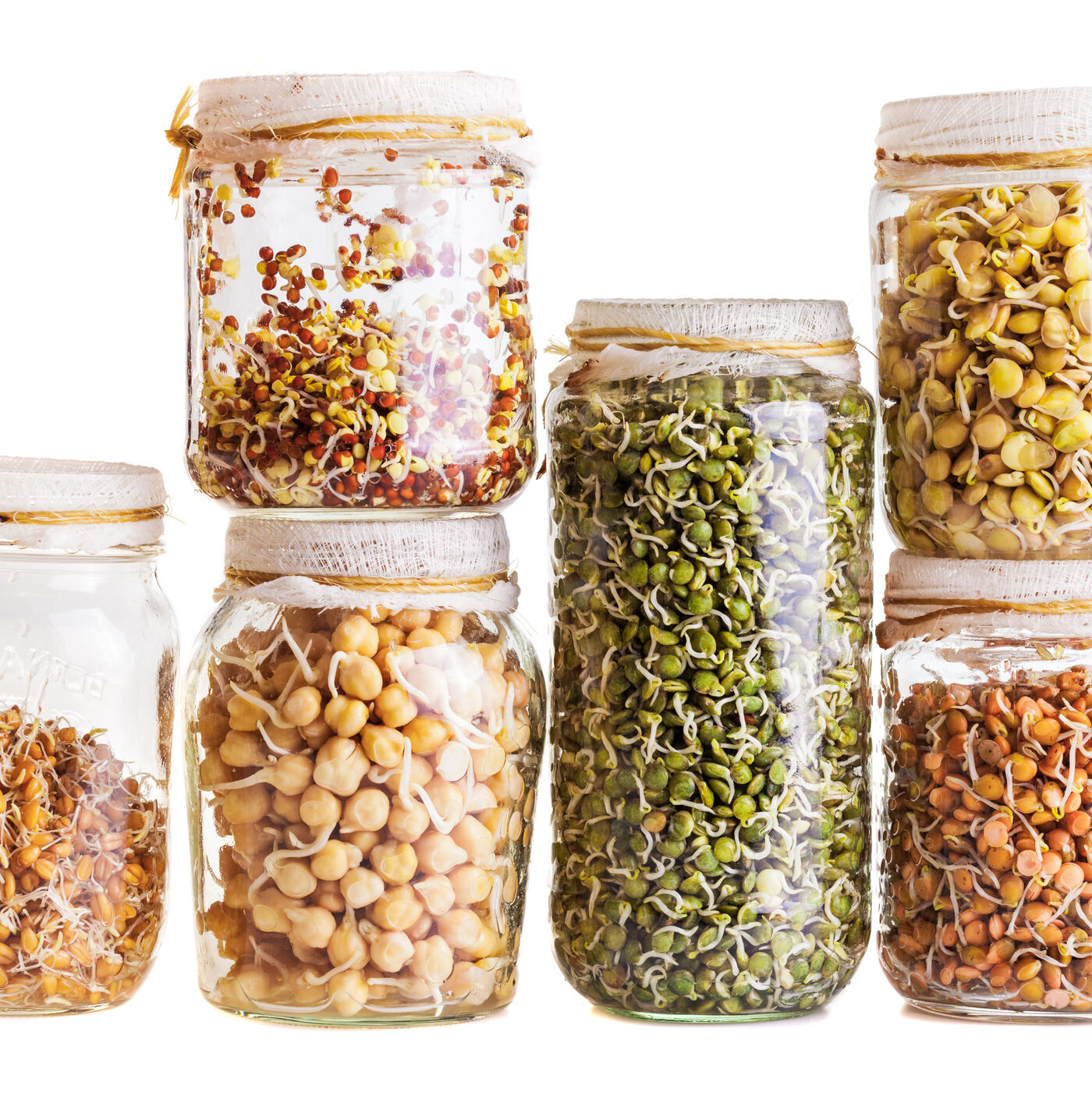 Sprouting Grains and Legumes