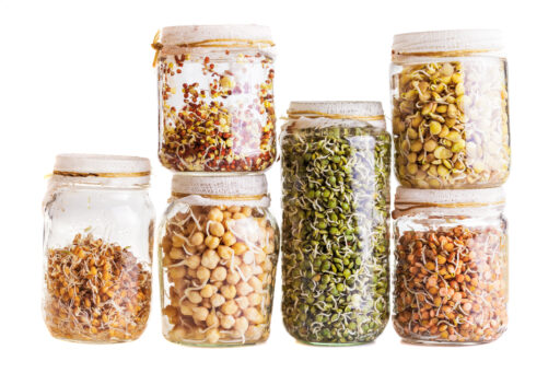 Sprouting Grains and Legumes