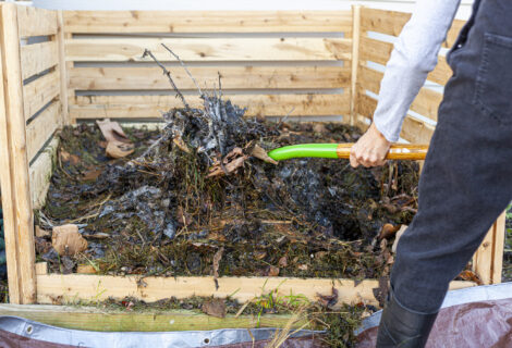 How to Build and Maintain Hot Compost
