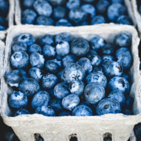 Image Source: https://pixabay.com/photos/blueberries-bunch-berries-fruits-1326154/