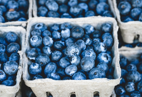 Image Source: https://pixabay.com/photos/blueberries-bunch-berries-fruits-1326154/