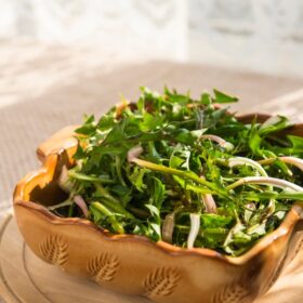 How to Make a Delicious Dandelion Salad – Turn Garden Weeds into a Summer Superfood