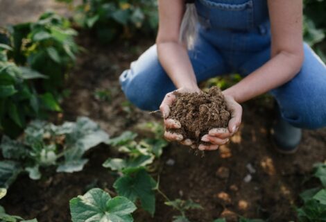Growing Food That Heals: How We Can All Grow Regeneratively