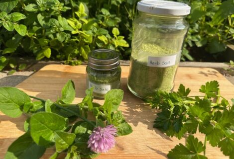 How to Make Your Own Herb Salt with Homegrown Herbs and Foraged Herbs