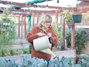 How to Save Water in the Garden: Smart Gardening Tips for Dry Summers