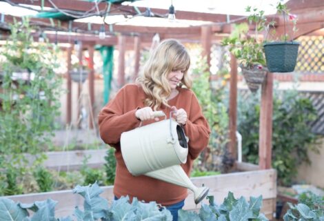 How to Save Water in the Garden: Smart Gardening Tips for Dry Summers