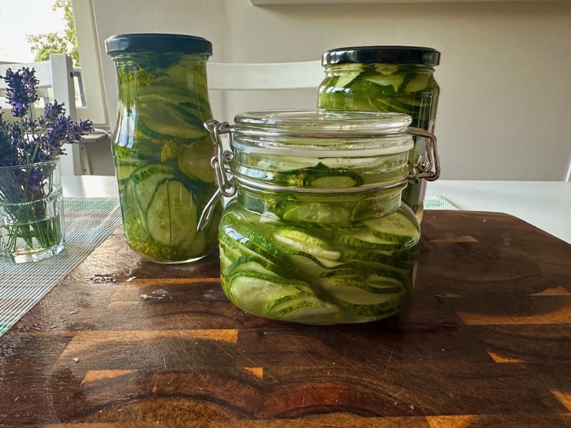 Homemade Sandwich Pickles Recipe – From My Garden to Our TableHomemade Sandwich Pickles Recipe – From My Garden to Our TableHomemade Sandwich Pickles Recipe – From My Garden to Our Table