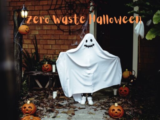 Eco Halloween Ideas: DIY Décor, Sustainable Treats, and Waste-Free Fun