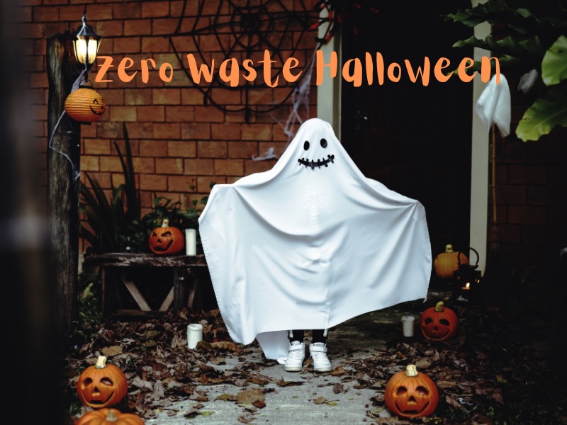 Eco Halloween Ideas: DIY Décor, Sustainable Treats, and Waste-Free Fun
