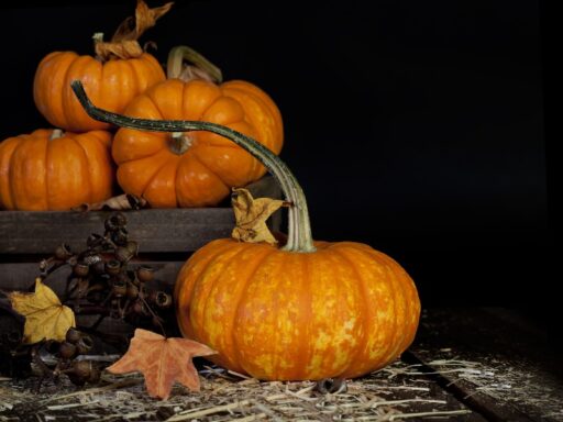 12 Creative & Sustainable Ways to Keep Pumpkins Out of the Landfill This Fall