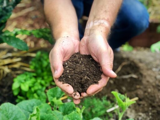 Build Better Soil, Not Buy It