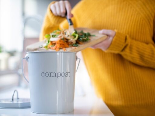 Bokashi Composting in an Apartment: Turn Kitchen Scraps Into Nutrient-Rich Fertilizer