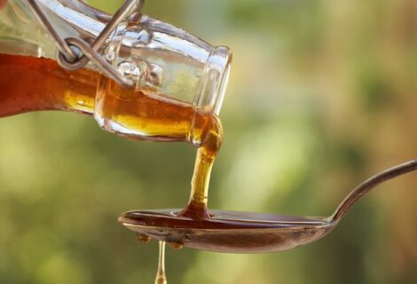 Spruce Tip Syrup: Spring in a Jar