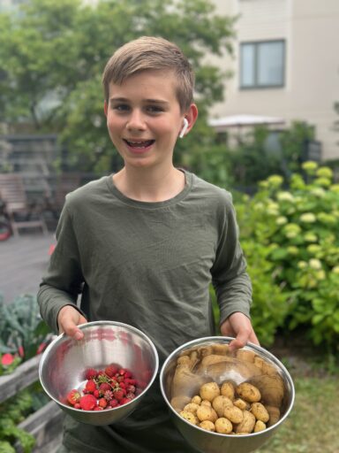 Patio Garden Comeback: Heatwave Check‑In, Harvests, and a Zero Waste BBQ