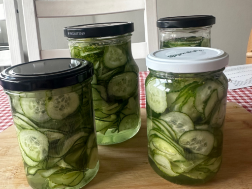 Homemade Pickles — One of My Favorite Ways to Preserve the Harvest!